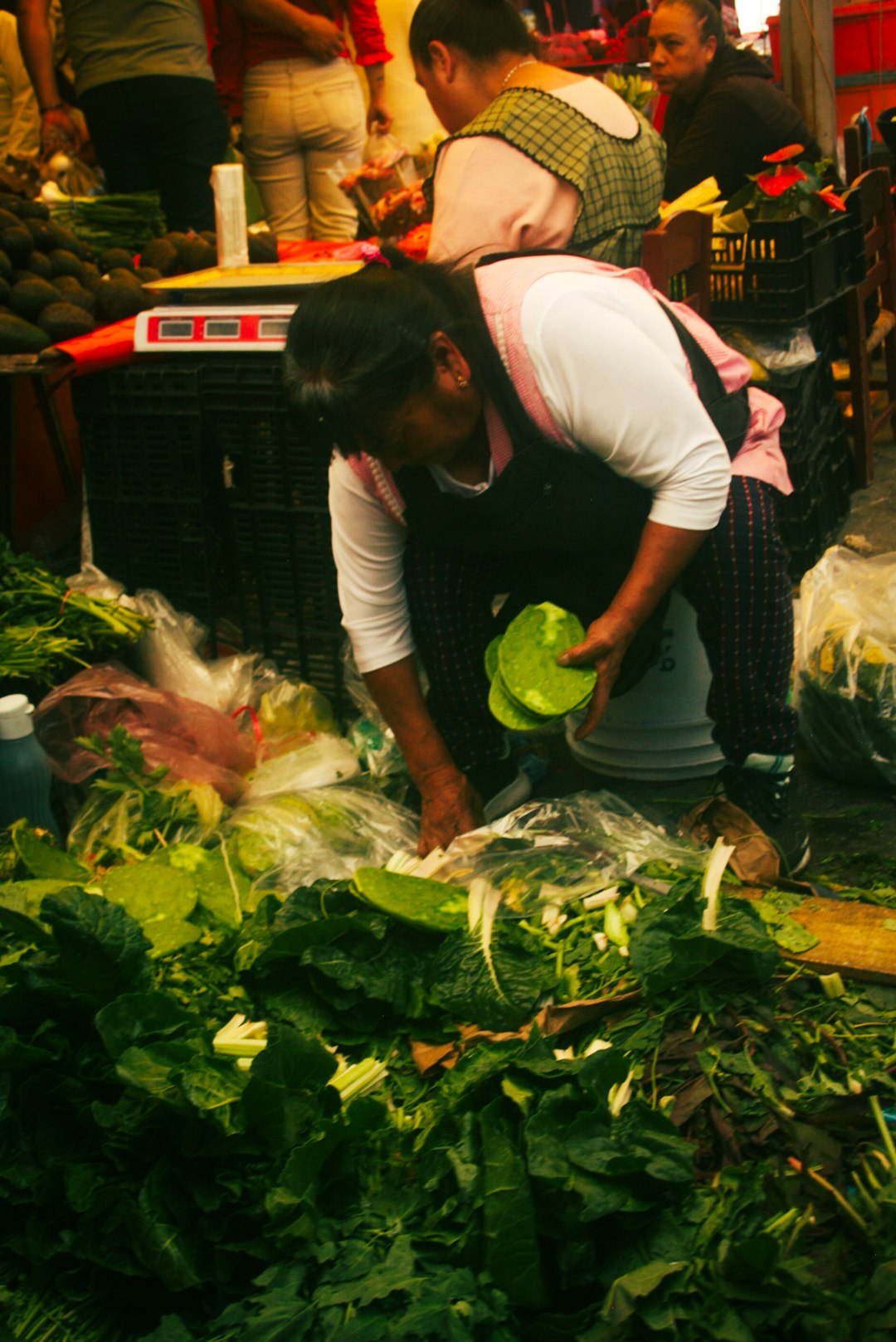 Frutas Tropicales Mexicanas