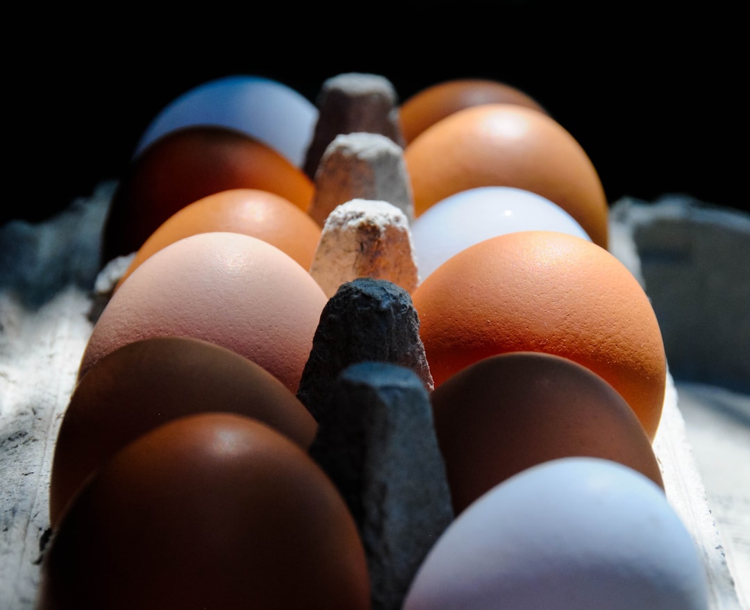 Plato del Buen Comer